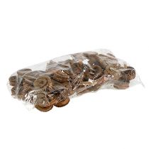 Artikel Palm Mannelijke Natuur 25 st