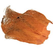 Palmvezel naturel 1kg