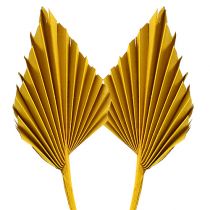 Artikel Palmspeer Geel 65 st
