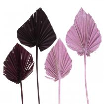 Artikel Palmspear Mix Roze Bessen, Wit Gewassen Memorial Bloemisterij 65 st