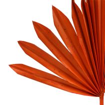 Artikel Palmspear Zon Oranje 30 st