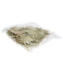 Artikel Palmspear Sun mini natuur 50 stuks