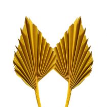 Artikel Palmspear mini geel 100 st