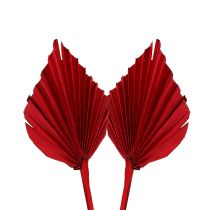 Artikel Palmspear mini rood 100 st