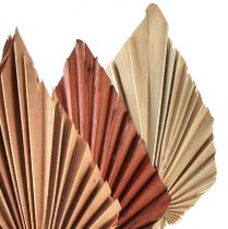 Artikel Palmspear mini assorti Marokko 30 st