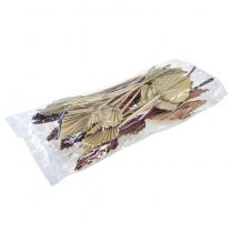 Artikel Palmspear mini assorti Marokko 30 stuks