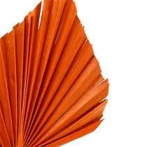Artikel Palmspear Orange 65 stuks