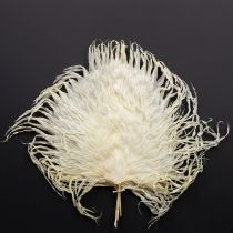 Artikel Palmbladeren gedroogd, decoratief gebleekt 45cm 5 stuks