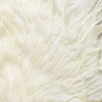 Artikel Palmbladeren gedroogd, decoratief gebleekt 45cm 5 stuks