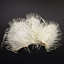 Artikel Palmbladeren gedroogd, decoratief gebleekt 45cm 5 stuks