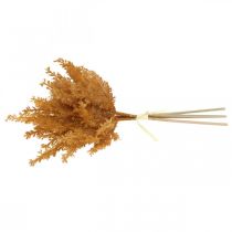 Artikel Pampagras kunstgras Oranje droog gras 35cm 4st