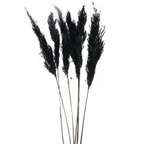 Pampagras zwart 65-75cm droog gras natuurlijke decoratie 6st