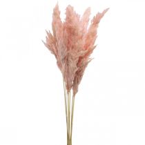 Pampagras gedroogde roze droge bloemisterij 65-75cm 6st in bos