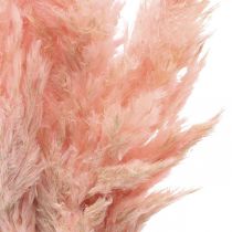 Artikel Pampasgras gedroogd roze droog bloemisterij 65-75cm 6st in bos