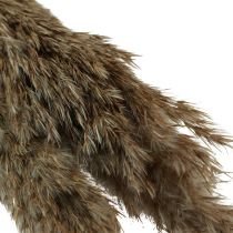 Artikel Pampasgras gedroogd decoratief droog gras naturel 95cm 3 st