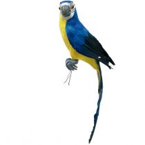 Decoratieve papegaai blauw 44cm
