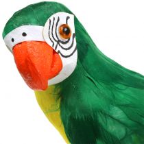 Decoratieve papegaai groen 44cm