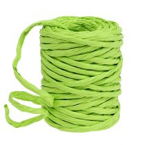 Papieren koord 6mm 23m appelgroen