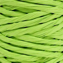 Papieren koord 6mm 23m appelgroen