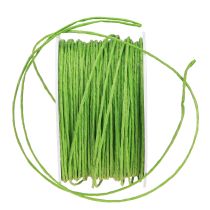 Artikel Papierkoord draad gewikkeld Ø2mm 100m appelgroen