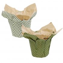 Artikel Papieren plantenbak patroon groen-wit Ø11,5cm 8 st