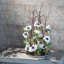 Artikel Egel Kenzan Ikebana Rechthoekig Zilver Messing 60×45mm
