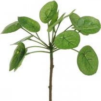 Peperomia Groene kunstplant met bladeren 30cm