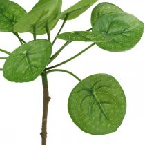 Peperomia Groene kunstplant met bladeren 30cm