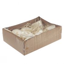 Artikel Decoratie van zeeslakken van parelmoer, schelpvormig, 5-6 cm, 6 stuks