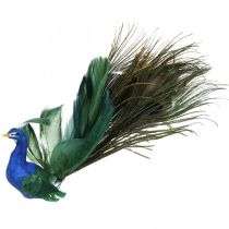 Paradijsvogel, pauw om te klemmen, verenvogel, vogeldecoratie blauw, groen, kleurrijk H8.5 L29cm