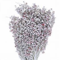 Artikel Gesneeuwde peperbessen, winterdecoratie, droogbloemen, advent, roze peper gewassen wit 170g