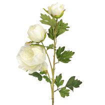 Artikel Kunstpioenrozen met 3 bloemen Wit Crème 81cm 2st