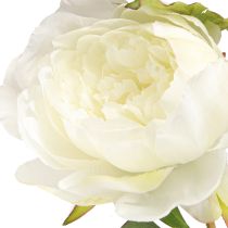 Artikel Kunstpioenrozen met 3 bloemen Wit Crème 81cm 2st