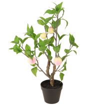 Artikel Perzikboom in pot met 4 vruchten Kunstmatig H53cm