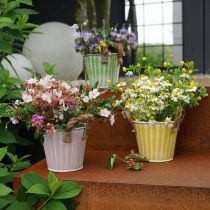 Emmer om te planten, plantenbak met handvatten, metalen decoratie roze/groen/geel shabby chic Ø16.5 cm H15 cm set van 3