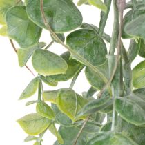 Artikel Kunstmatige eucalyptus slinger, hangplant voor binnen- en buitendecoratie, 92 cm