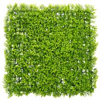 Artikel Kunstmatige buxusplantmat 55x55 cm voor decoratieve wanddecoratie