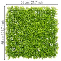 Artikel Kunstmatige buxusplantmat 55x55 cm voor decoratieve wanddecoratie