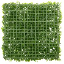 Artikel Kunstmatige buxusplantmat 55x55 cm voor decoratieve wanddecoratie