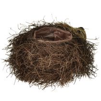 Artikel Egel plantenbak van wijnranken 22cm x 25cm