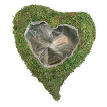Plantenhart mosgroen plantenschaal hart 26×30×8cm
