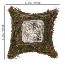 Artikel Plantenkussen wijnstokken mos plantenschaal naturel 20×20×6,5cm