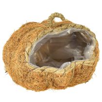 Artikel Plantenmand pompoen herfstdecoratie oranje Ø22cm H17cm