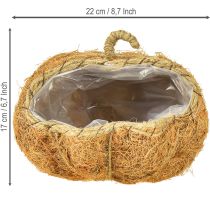 Artikel Plantenmand pompoen herfstdecoratie oranje Ø22cm H17cm