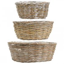Artikel Set van 3 rieten manden, plantenbakken, decoratieve manden, witgewassen vintage stijl, Ø21,5/26/31 cm voor huis en tuin