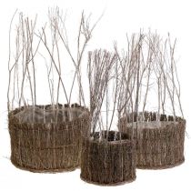Plantenmand van takjes white wash Ø15-25cm set van 3