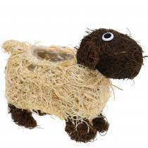 Artikel Plantenpot schaap liaan bruin gebleekt 35×14cm H26cm