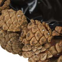 Artikel Plantenschaal echte kegels kegelschaal naturel Ø28cm H9cm
