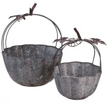 Artikel Plantenschaal metaal pompoen sierpot zink Ø21/30cm set van 2 stuks