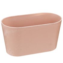 Artikel Plantenschaal ovale sierschaal kunststof roze bruin 20×10×11cm 3st